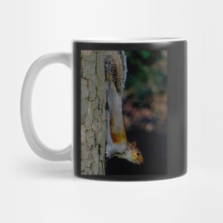 GONE NUTS FOR SQUIRREL YOGA ! Mug